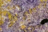 Beautiful, Purple, Polished Charoite Slab - Siberia #93468-1